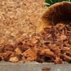 imageChar Bliss 16 Qts  Coco Chips 650gm Bricks 5Pack  Coco Chips for Plants ampamp Organic Biochar for Plants  Biochar Soil Amendment  Horticultural Charcoal  Coco Coir Chips  Coconut Husk Chips