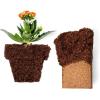imageCoco Coir 650gm Bricks  Worm Castings  Mycorrhizal Inoculant  Neem Meal Fertilizer  Organic Biochar for Plants  All Natural Soil Amendments for Plants  Organic Coco Coir for Plants ampamp GardeningCoco Coir 650gm 5 Bricks