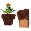 imageCoco Coir Brick 650gms  Amino Bliss 1lb  Organic Coco Coir for Plants ampamp Amino Acids for Plants  Cocopeat Coconut Coir Brick  Hydrolyzed Amino Acids for Gardening  Garden Soil Potting Mix