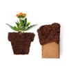 imageCoco Coir Brick 650gms  Worm Bliss 1 Qt  Organic Worm Castings ampamp Organic Coco Coir for Plants  Coconut Coir Coco Peat  Earthworm Castings Worm Fertilizer  Garden Soil ampamp Potting Soil Mix