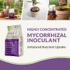 imageMyco Bliss Granular 1lb  Mycorrhizal Fungi for Plants  5 Strain Mycorrhizal Inoculant with 1000 Propagules Per Gram  Highly Concentrated Mycorrhizae for Plants Potting Soil ampamp Garden SoilPowder