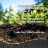 imagePerlite Bliss 8 Qts  Organic Perlite for Plants  Coarse Perlite Bulk Soil Amendment  Chunky Perlite for Plants Potting Soil Garden Soil ampamp Coco Coir  Horticultural Perlite for GardeningChar Bliss 1 Qt