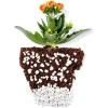 imageBuffered Coco Bliss 10lbs  Perlite Bliss 24 Qts  Buffered Coco Coir Brick ampamp Organic Perlite for Plants  Coco Coir Perlite Mix  Organic Coco Coir for Plants  Coconut Coir Bulk Potting Soil Mix