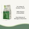 imageKelp Bliss 1lb  Neem Bliss 1lb  Kelp Meal Organic Fertilizer amp Neem Cake for Plants  Kelp Fertilizer for Plants  Neem Seed Meal Fertilizer  Natural Plant Food Rich in Vitamins amp Nutrients