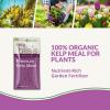 imageNeem Bliss 5lbs  Kelp Meal 5lbs  Kelp Meal Organic Fertilizer amp Neem Cake for Plants  Kelp Fertilizer for Plants  Neem Seed Meal Fertilizer  Natural Plant Food Rich in Vitamins amp Nutrients