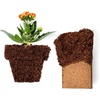 image:imageCoco Bliss 650gm Bricks 10Pack  Vermiculite Bliss 16 Qts  Organic Coco Coir for Plants amp Vermiculite for Gardening  Cocopeat Coconut Soil  Coconut Coir for Plants  Garden Soil Potting Mix